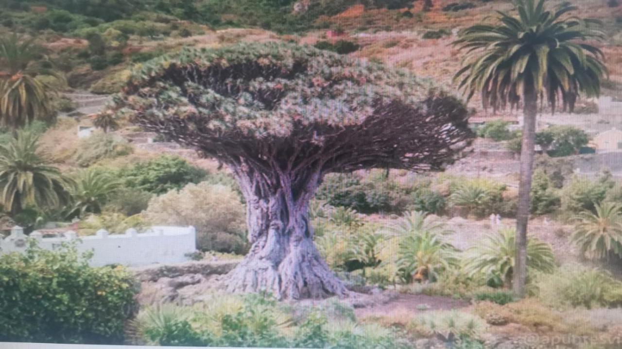 איקוד דה לוס וינוס Tradicional Casa Canaria Con Piscina Y Vistas Al Teide מראה חיצוני תמונה